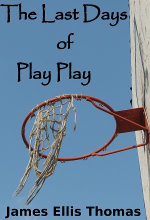 Book cover of The Last Days of Play Play