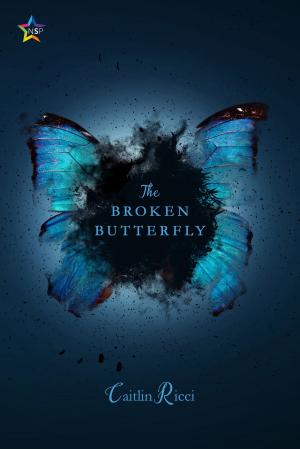 Cover of the book The Broken Butterfly by Storm Duffy
