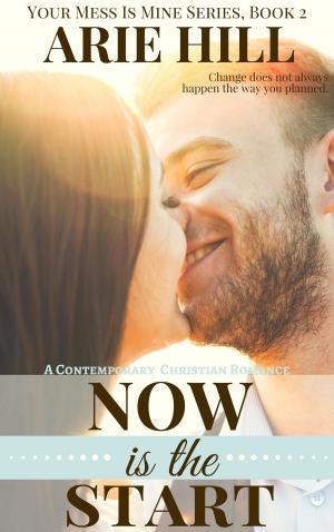 Cover of the book Now Is The Start by Tammi Sauer