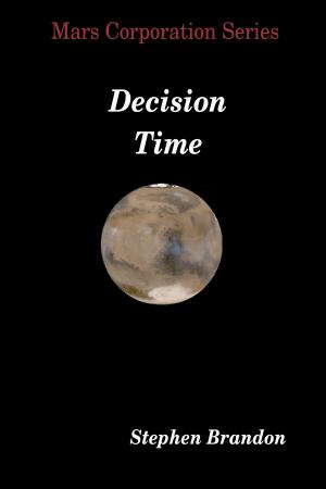 Cover of the book Decision Time by Stephen Brandon
