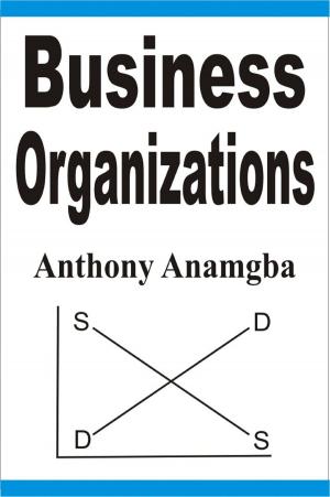 bigCover of the book Business Organizations by 