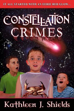 Cover of the book Constellation Crimes by Andre Nguyen Van Chau