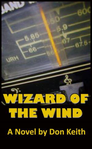 Book cover of Wizard of the Wind