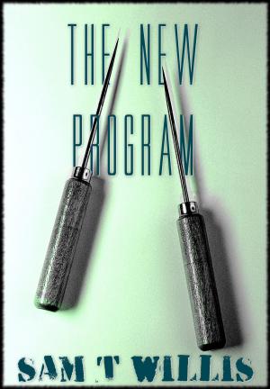 Cover of the book The New Program by Olga Rodionova