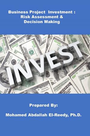Book cover of Business Project Investment: Risk Assessment & Decision Making