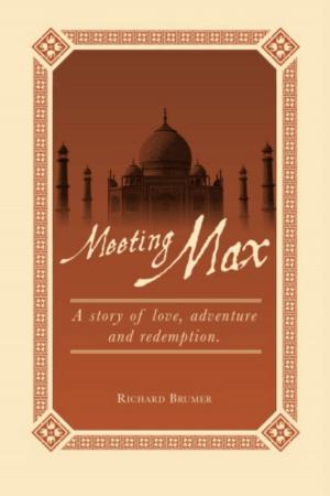 Cover of Meeting Max