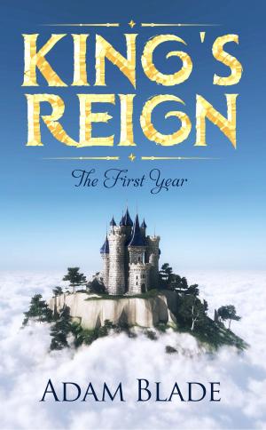 Cover of the book King's Reign: The First Year by Steven C. Nelson