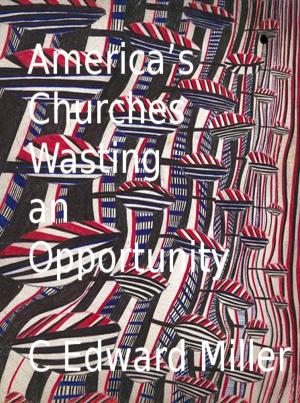 Cover of the book America's Churches Wasting an Opportunity by Marc Rasell