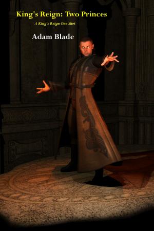 Book cover of King's Reign: Two Princes (A King's Reign One Shot)