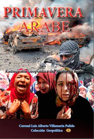 Book cover of Primavera Árabe