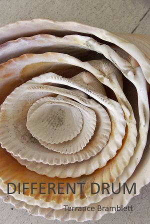 Cover of the book Different Drum by Terrance Bramblett