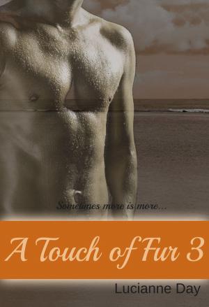 Cover of the book A Touch of Fur 3 by Theresa Romain
