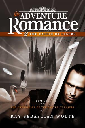 Cover of the book Adventure Romance and the Castle of Lasers by D. Clarence Snyder
