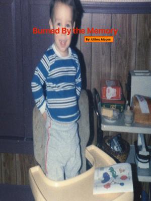 Book cover of Burned by the Memory