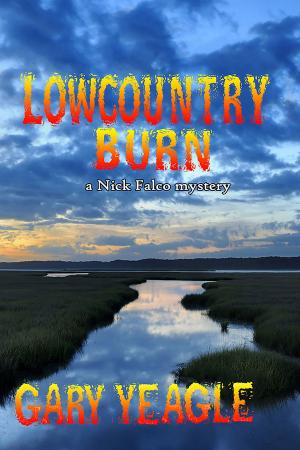 Cover of the book Lowcountry Burn: A Nick Falco Mystery by Charles Brokaw