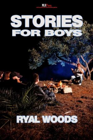 Cover of the book Stories for Boys by S.A. Garcia