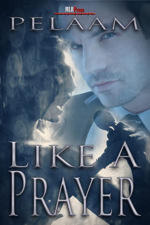 Cover of the book Like a Prayer by Cherie Noel