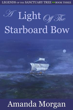 Cover of the book A Light Off the Starboard Bow by 