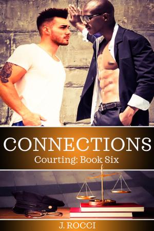 Book cover of Courting 6: Connections