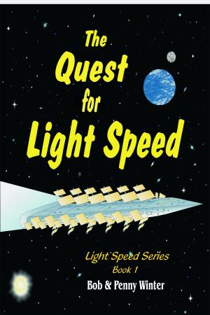Book cover of The Quest for Light Speed