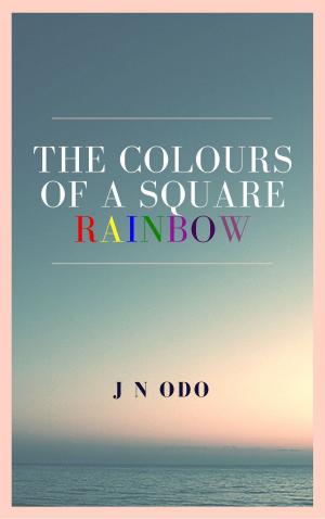 Cover of the book The Coulours of a Square Rainbow by Gianna King