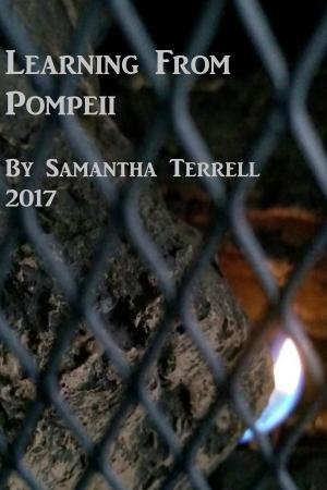 Book cover of Learning from Pompeii