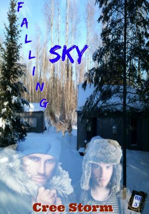 Cover of the book Falling Sky Haven Ranch 3 by Cree Storm, Maggie Walsh