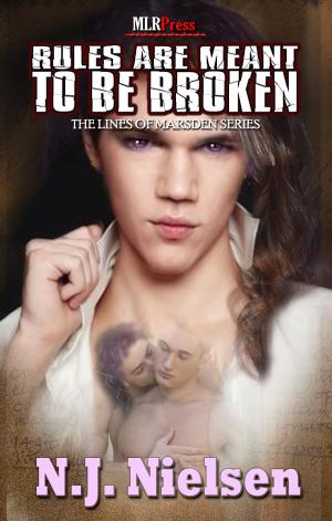 Cover of the book Rules Are Meant to be Broken by Laura Baumbach