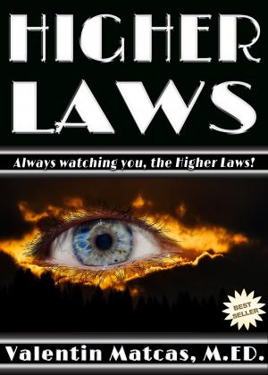 Cover of the book Higher Laws by Valentin Matcas