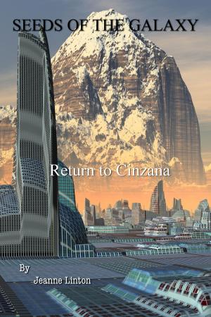 Book cover of Return To Cinzana
