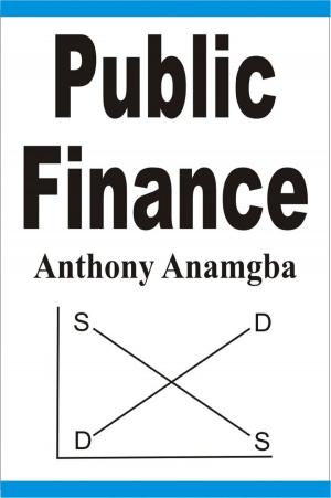 Cover of the book Public Finance by Anthony Anamgba