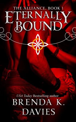 Cover of the book Eternally Bound by J.E. Hopkins