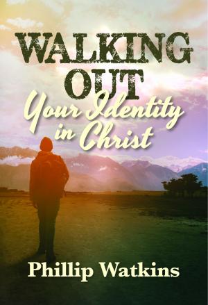 Book cover of Walking Out Your Identity in Christ