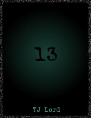 Cover of the book 13 by Diane Carey