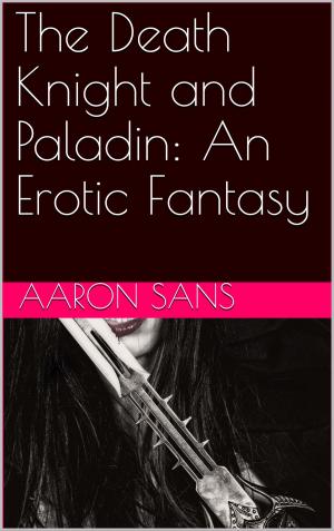 Cover of the book The Death Knight and Paladin: An Erotic Fantasy by Aaron Sans