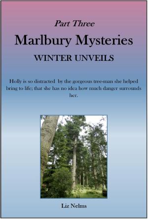 Cover of the book Marlbury Mysteries Winter Unveils: Part Three by Joann I. Martin Sowles