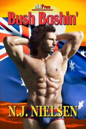 Cover of the book Bush Bashin' by D.J. Manly, A.J. Llewellyn