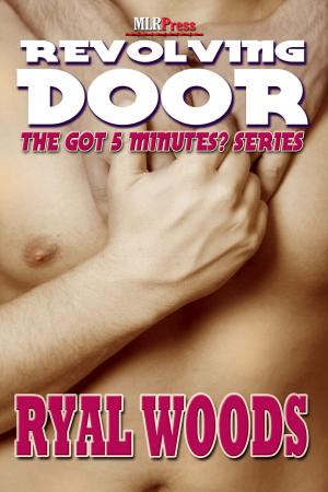 Cover of the book Revolving Door by Michael Gouda