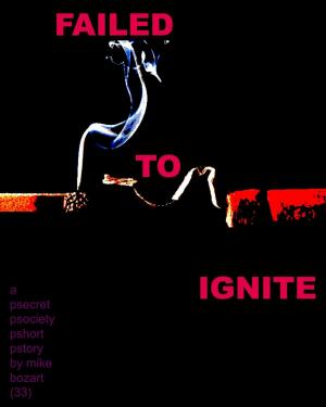 Cover of the book Failed to Ignite by Kevin Smith