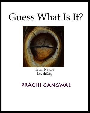 Book cover of Guess What Is it? From Nature; Easy