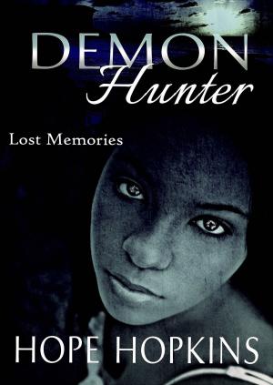 Cover of the book Demon Hunter Lost Memories by Amanda Schmidt