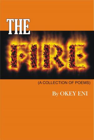Cover of the book The Fire by Gabriella Genisi