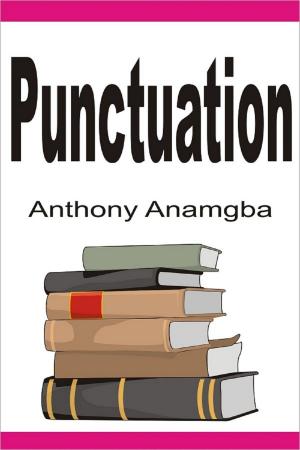 Book cover of Punctuation
