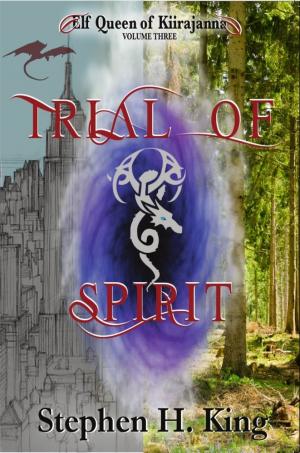 Book cover of Trial of Spirit (Elf Queen of Kiirajanna, Volume 3)