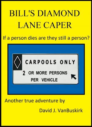 Cover of the book Bill's Diamond Lane Caper by Aaron Aboje