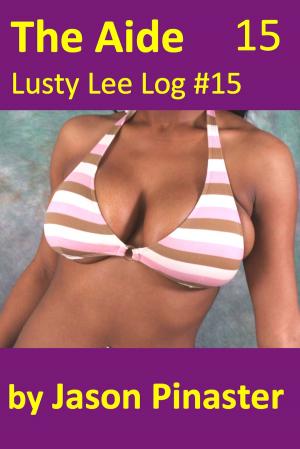 bigCover of the book The Aide, Lusty Lee Log 15 by 