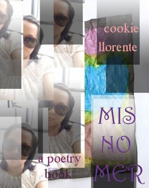 Cover of the book Misnomer by Mario Migueláñez González