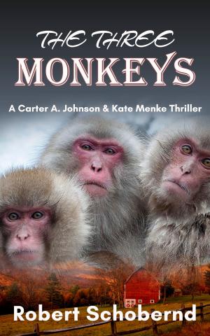 Cover of the book The Three Monkeys, A Carter A. Johnson & Kate Menke Thriller by John Rhall
