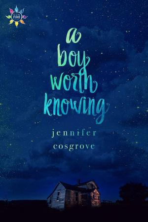 Cover of A Boy Worth Knowing by Jennifer Cosgrove, NineStar Press