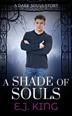 bigCover of the book A Shade of Souls by 